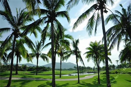 带一点蛋糕烘焙