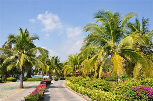 盛和友大院炒鸡